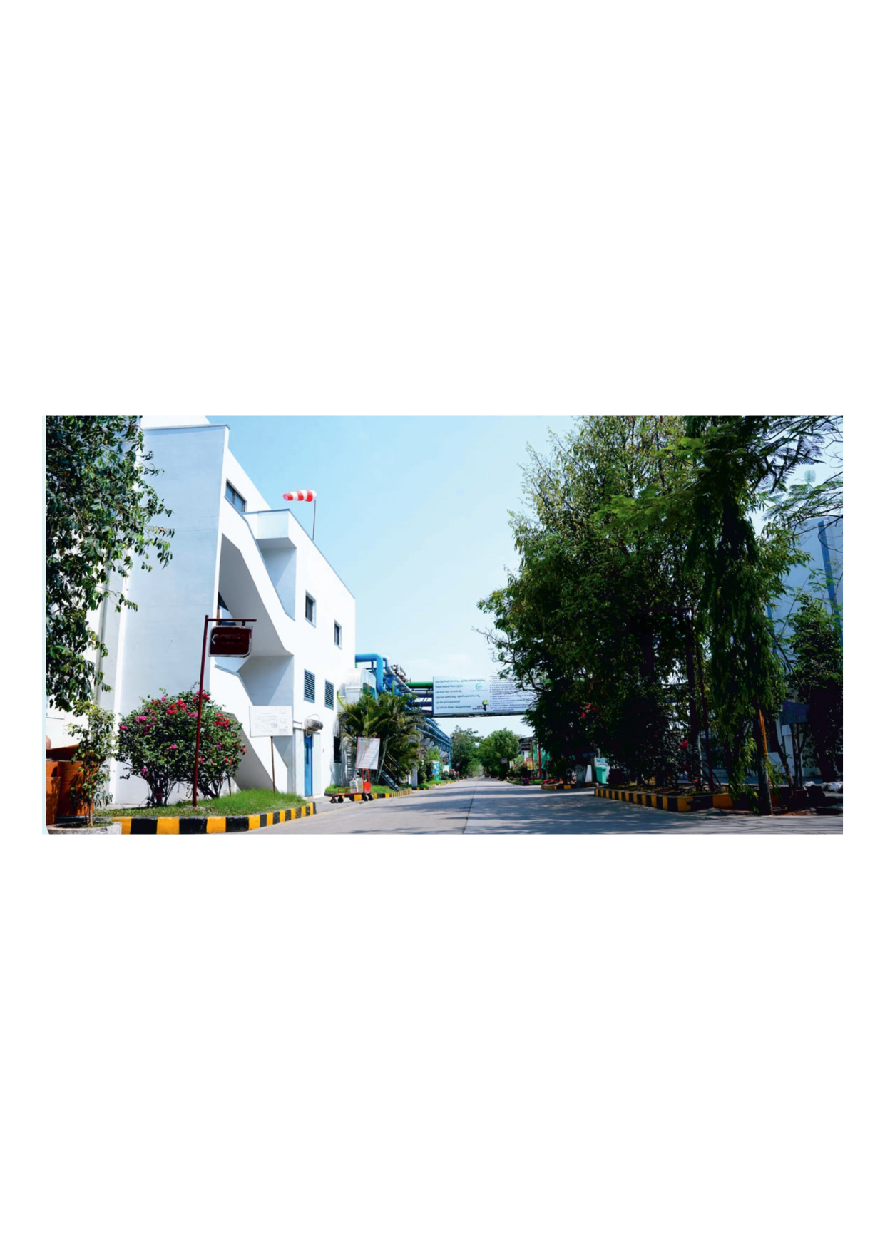 CDMO & CMO SERVICES image